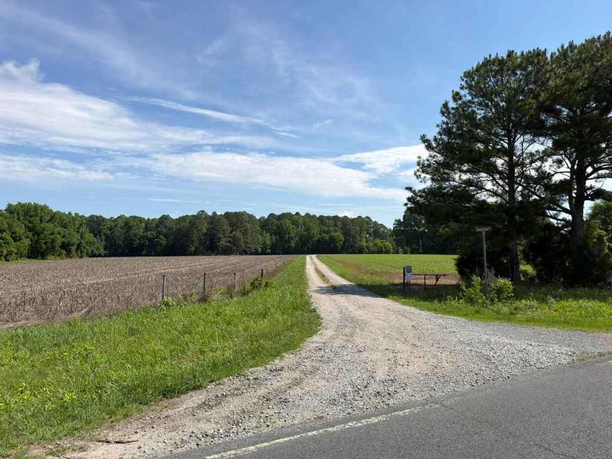 Anson Access Road trail photo