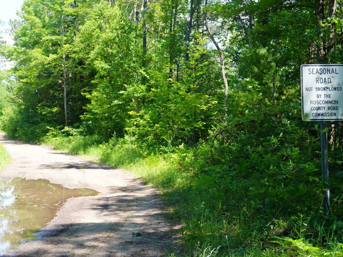 Possum Trail photo 6
