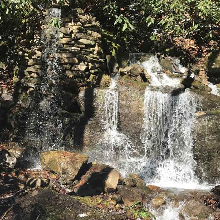 Near Laurel Creek Trail