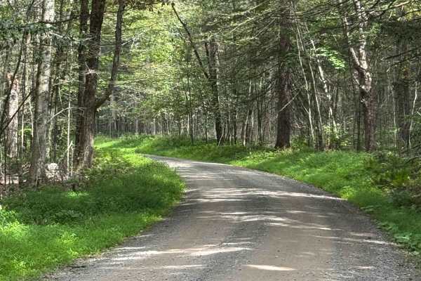 Ellenton Ridge Road