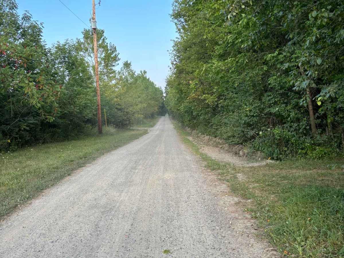 Hoagland Road photo 3