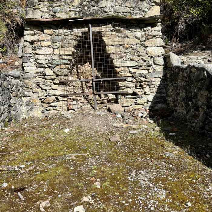 Near Bob's Cove to Picnic Point Track