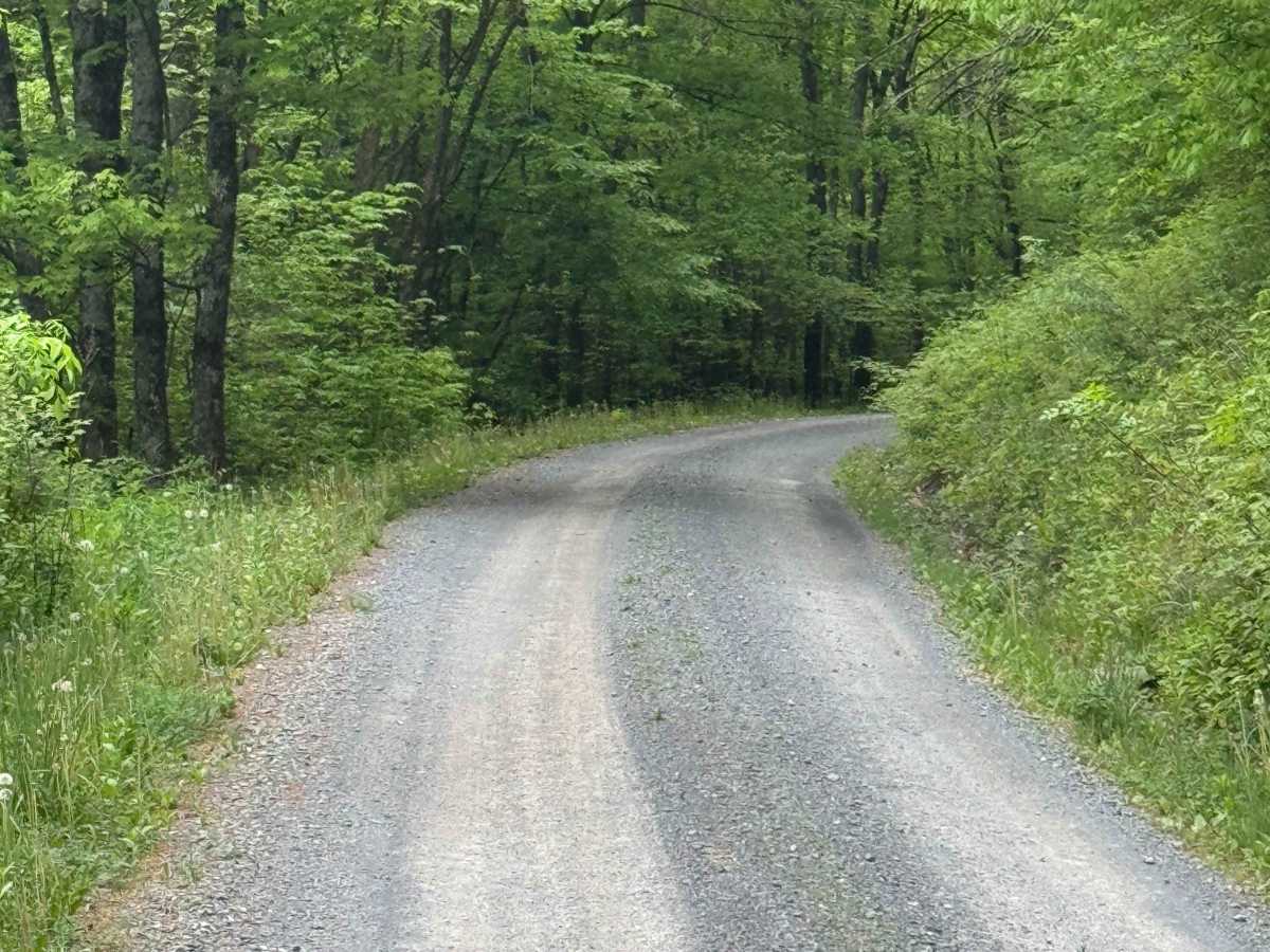 Joerg Run Road photo 3