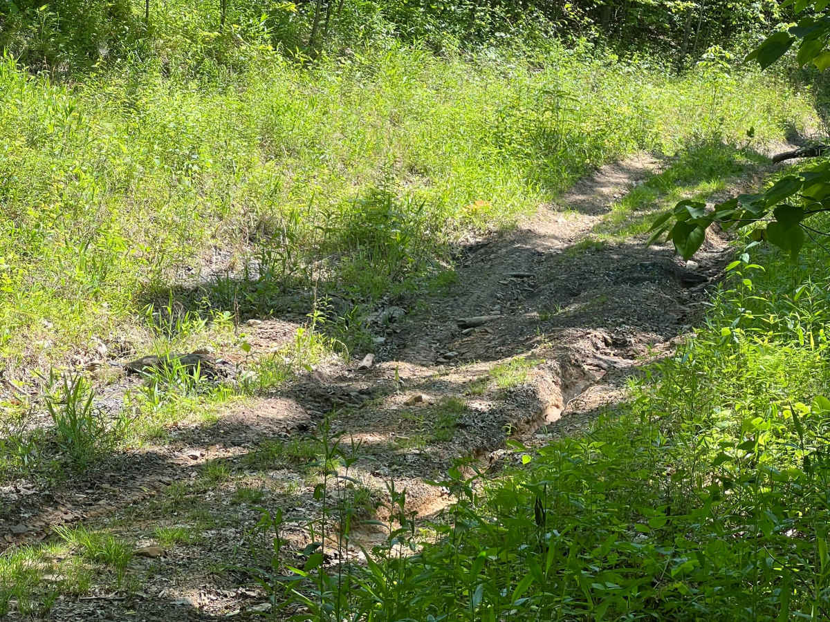 KC21 - Sugar Camp Road photo 2