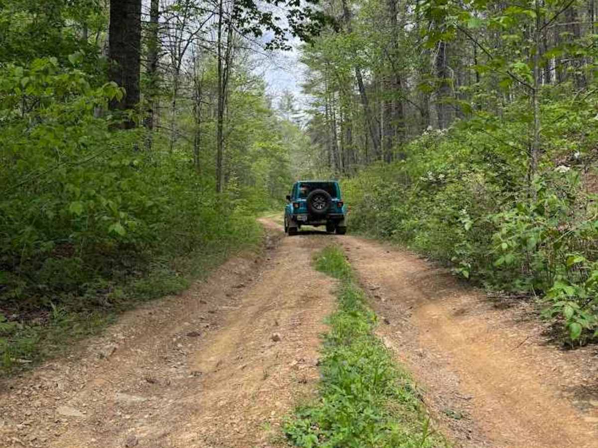 Phillips Lick trail photo
