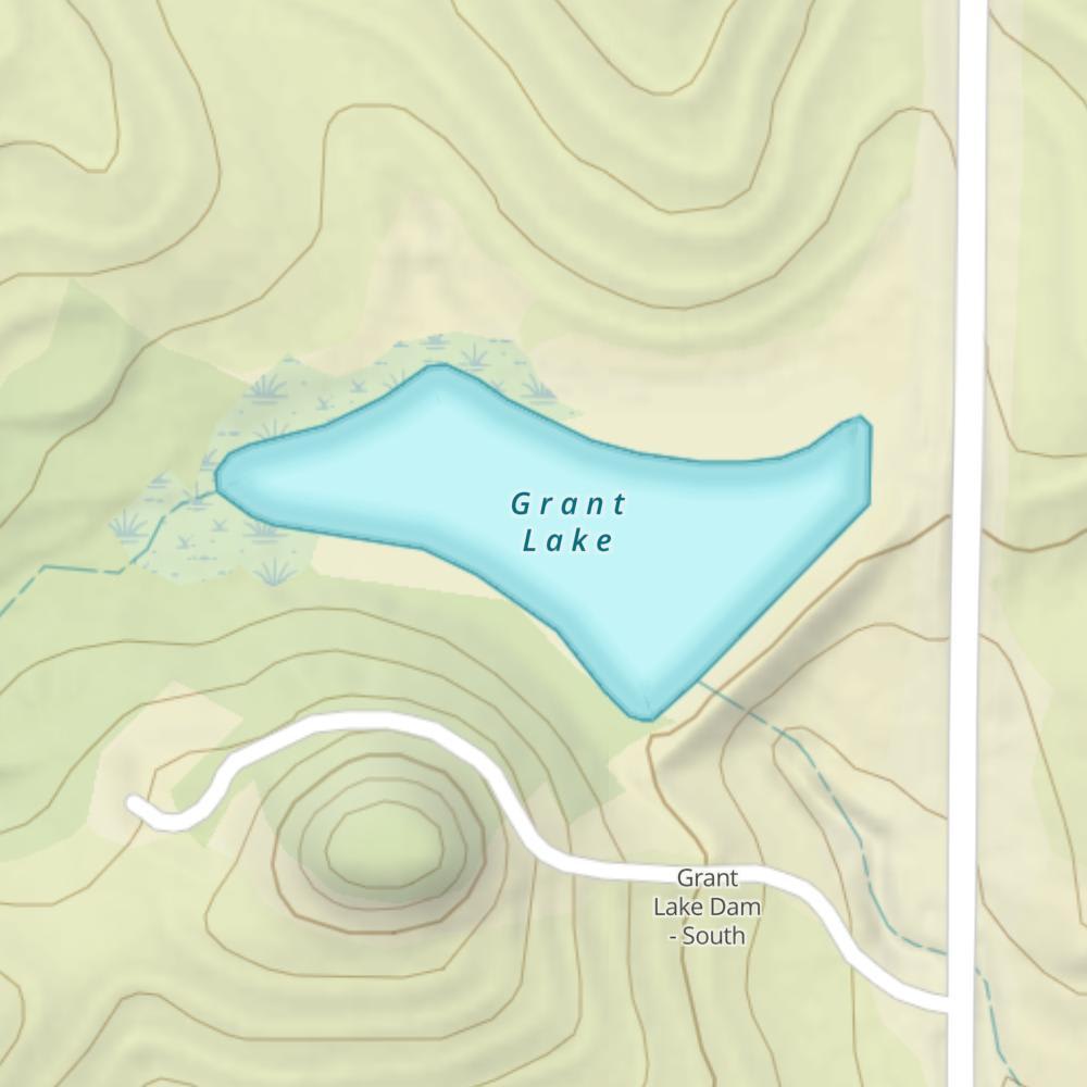 Grant Lake photo