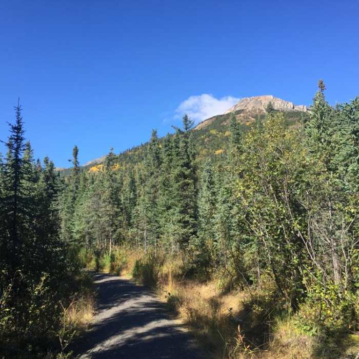 Near Mt. Healy Overlook Trail Near Mt. Healy Overlook Trail