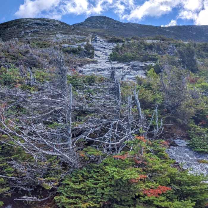 Near Sunset Ridge Trail