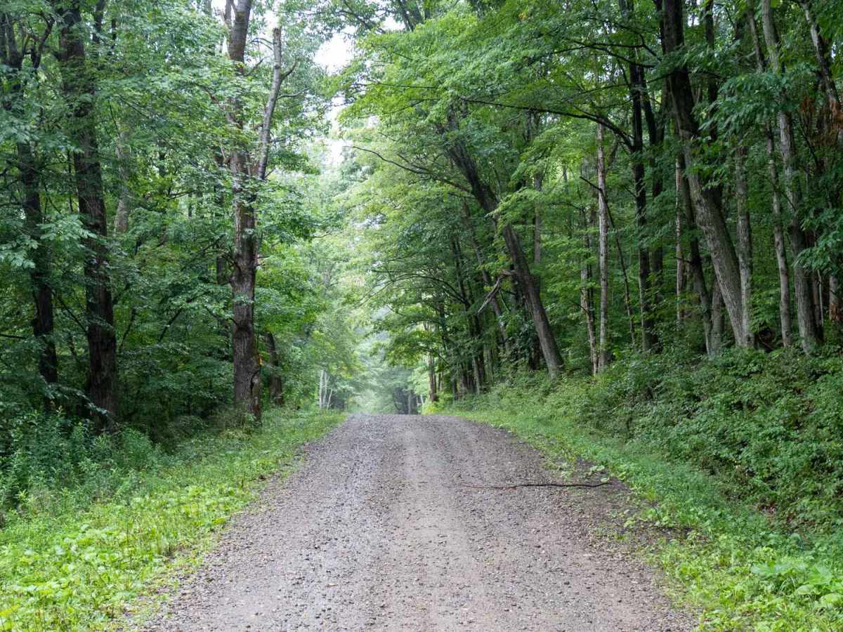 Mutton Hollow Road photo 3