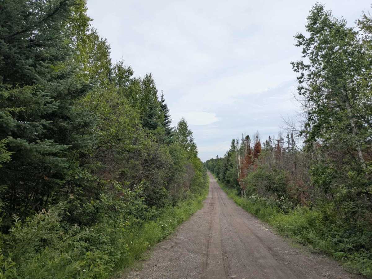 Little Creek Road photo 4