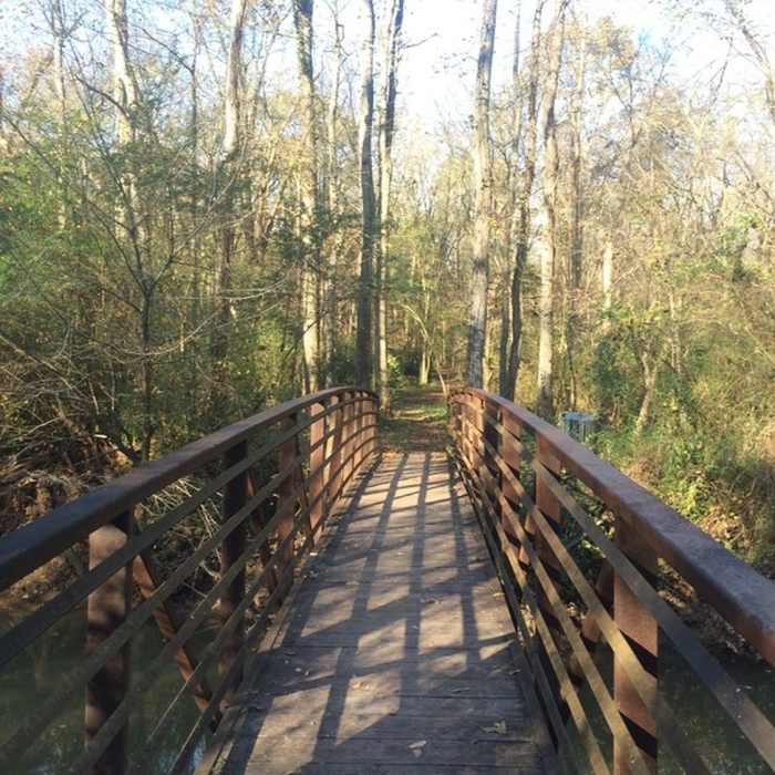 Boardwalk at Wetland Trail - River Park Near Wetland Trail - River Park