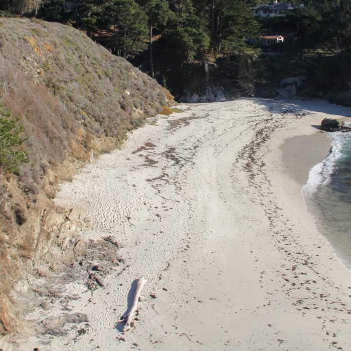 Near Bird Island Trail