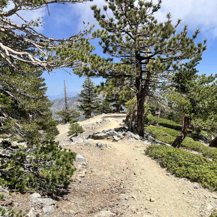 Near West Mount Baldy