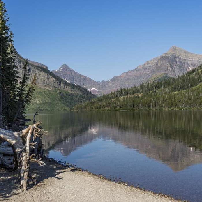 Near Aster Park Overlook Hike
