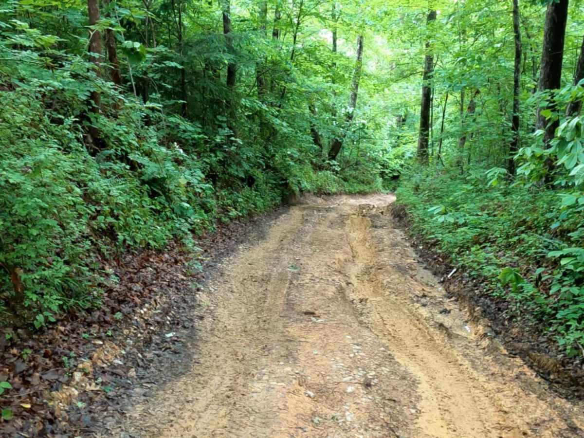 Brushy Fork Road photo 5