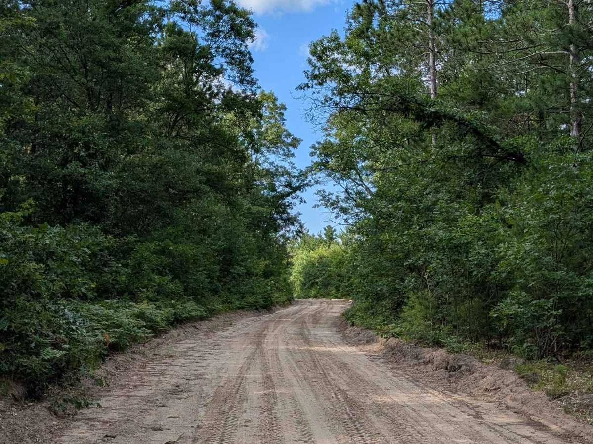 Walker Road photo 6