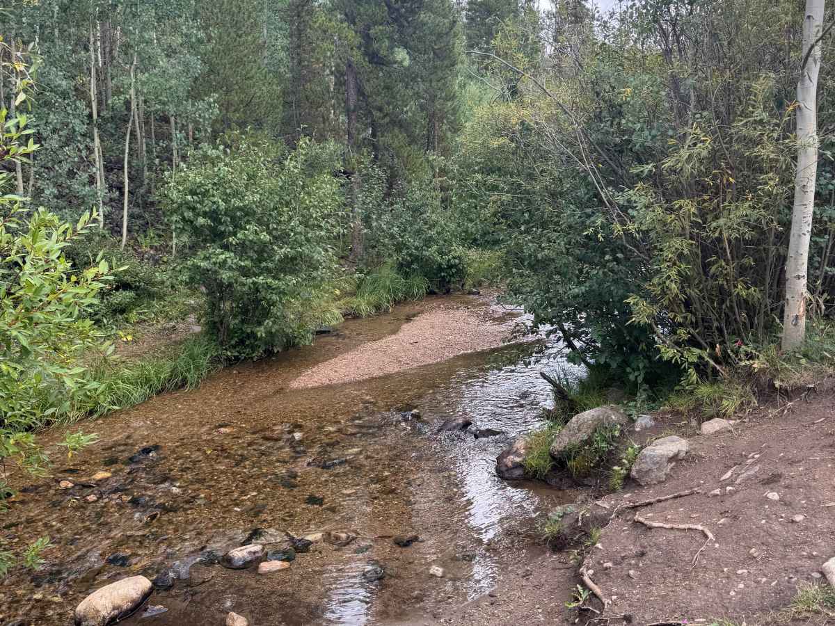 Miners Creek Road photo 6