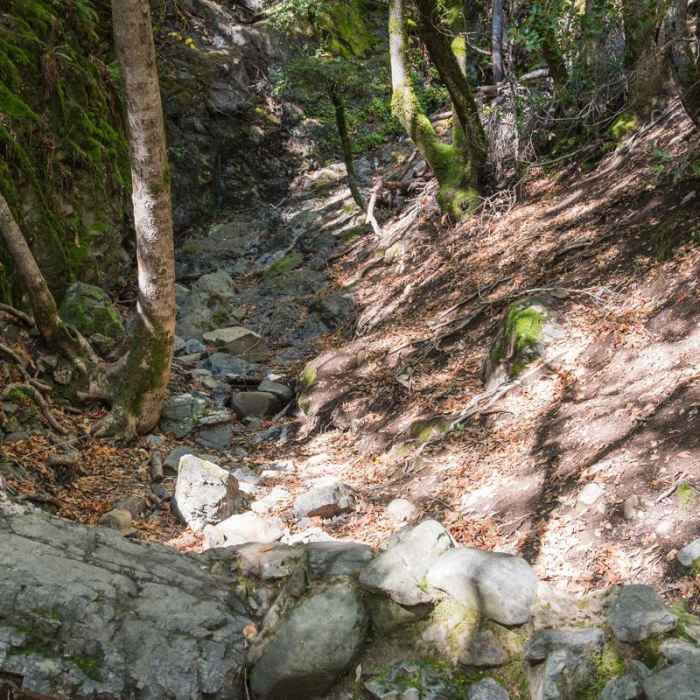 Near Knobcone Point + Black Rock Falls Hike via Contour Trail