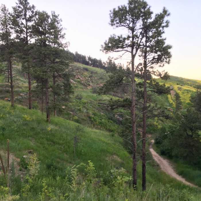 Looking back on the first climb of the trail. Near Far East / Founders Valley Loop