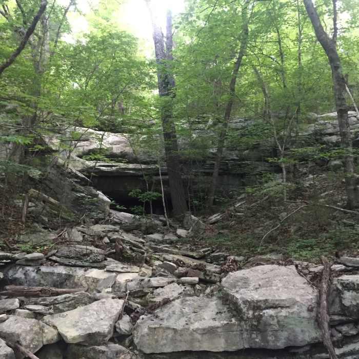 Near Wade Mountain Loop