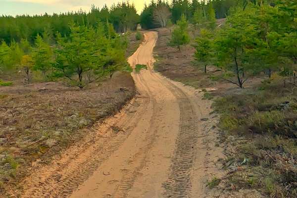W Wilderness Road