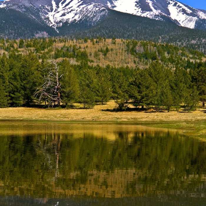 Near High Country Tour to Bismark Lake