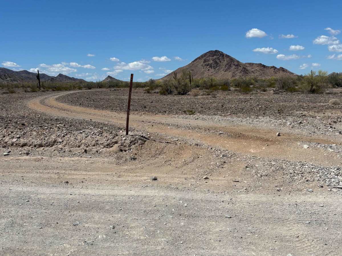 BLM 0133 photo 2