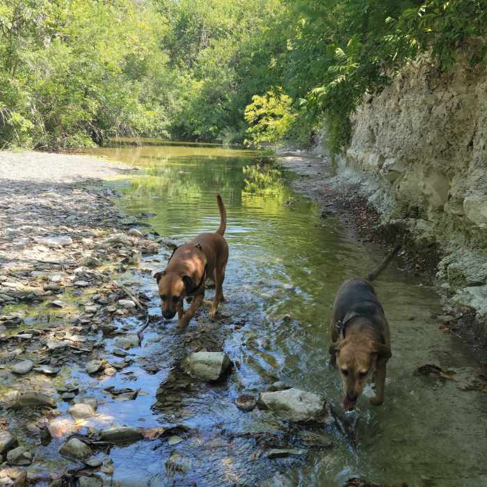 Near Chisholm Trail: 3 Bridges Loop