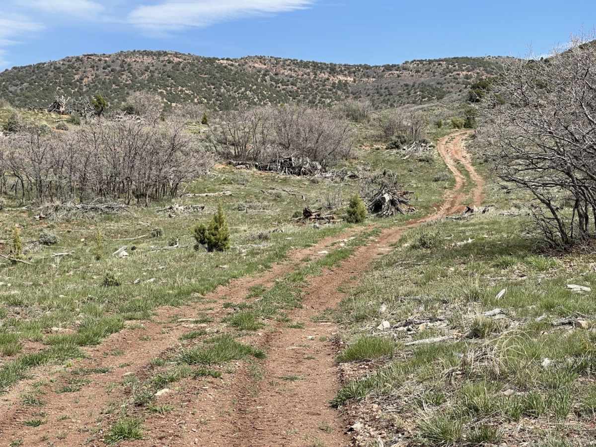 Juniper Ridge photo 6