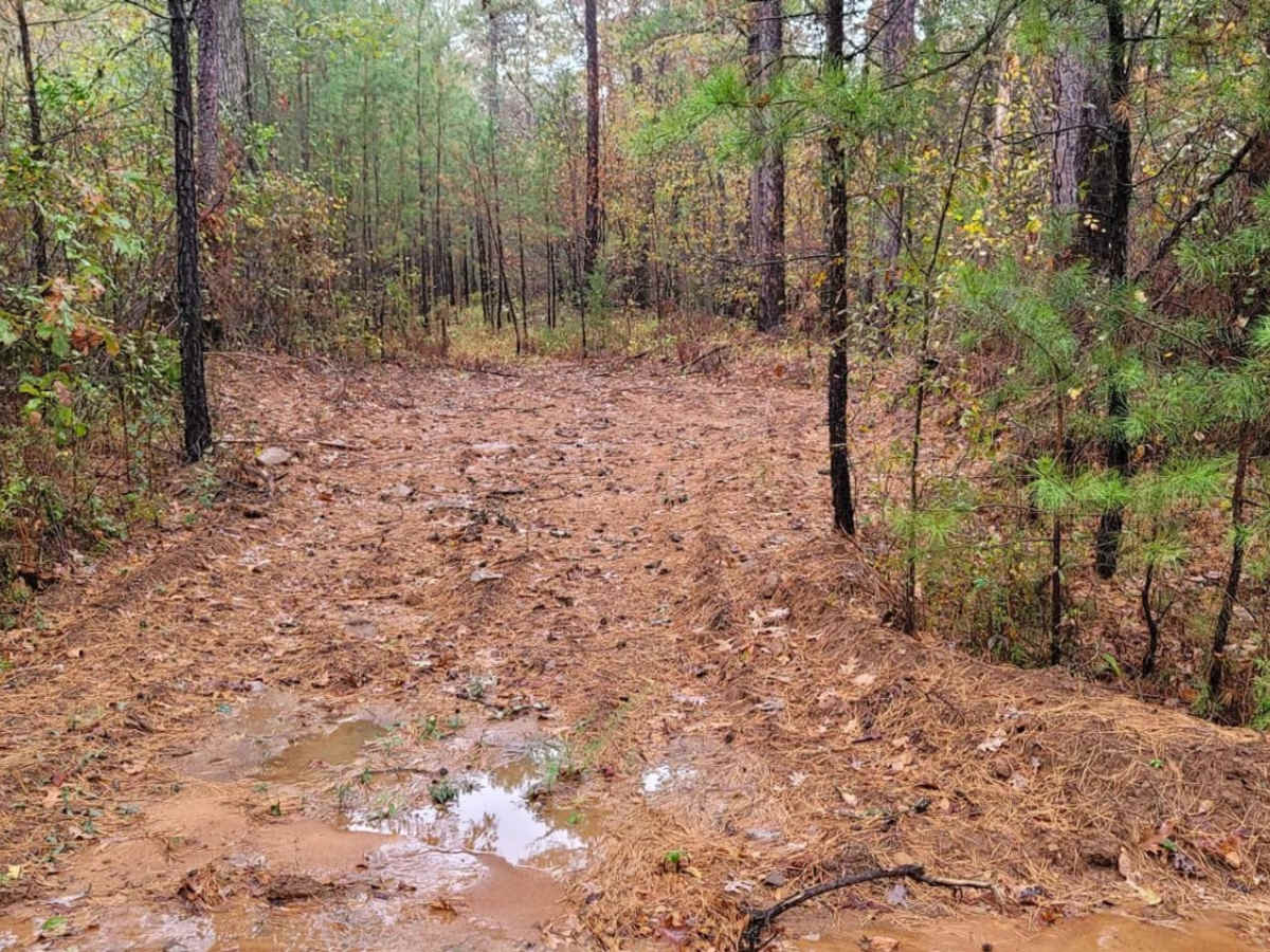 Stone Wall Falls photo 3