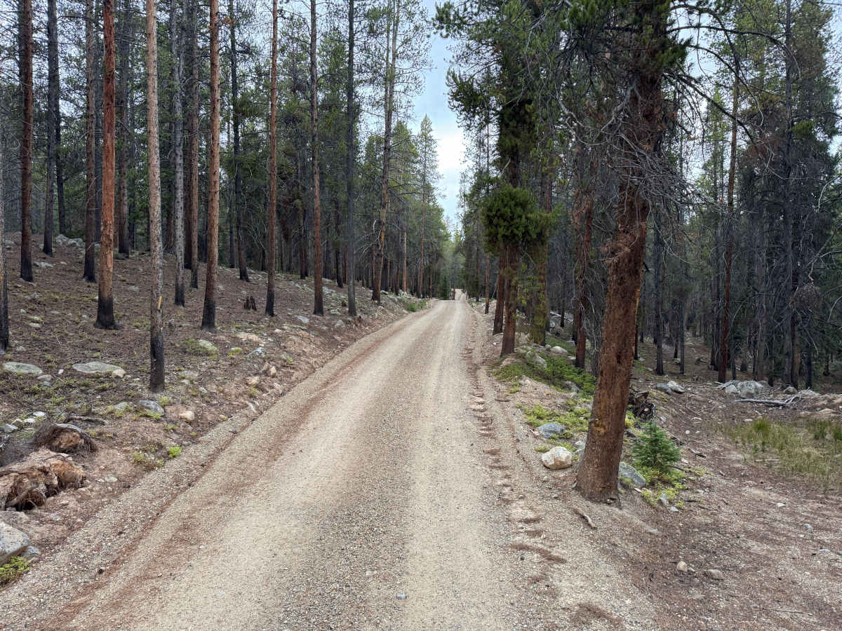 Wurts Ditch Road photo 5