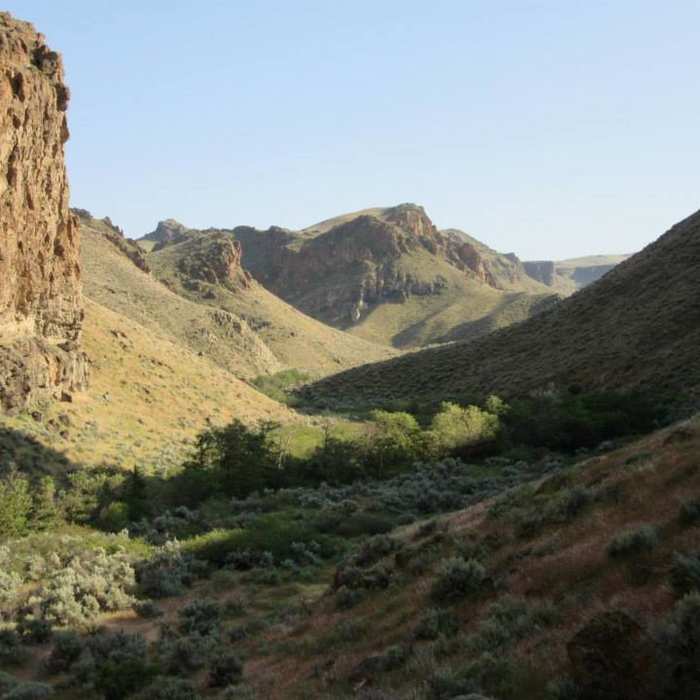 Near Reynolds Creek Trail (W610)