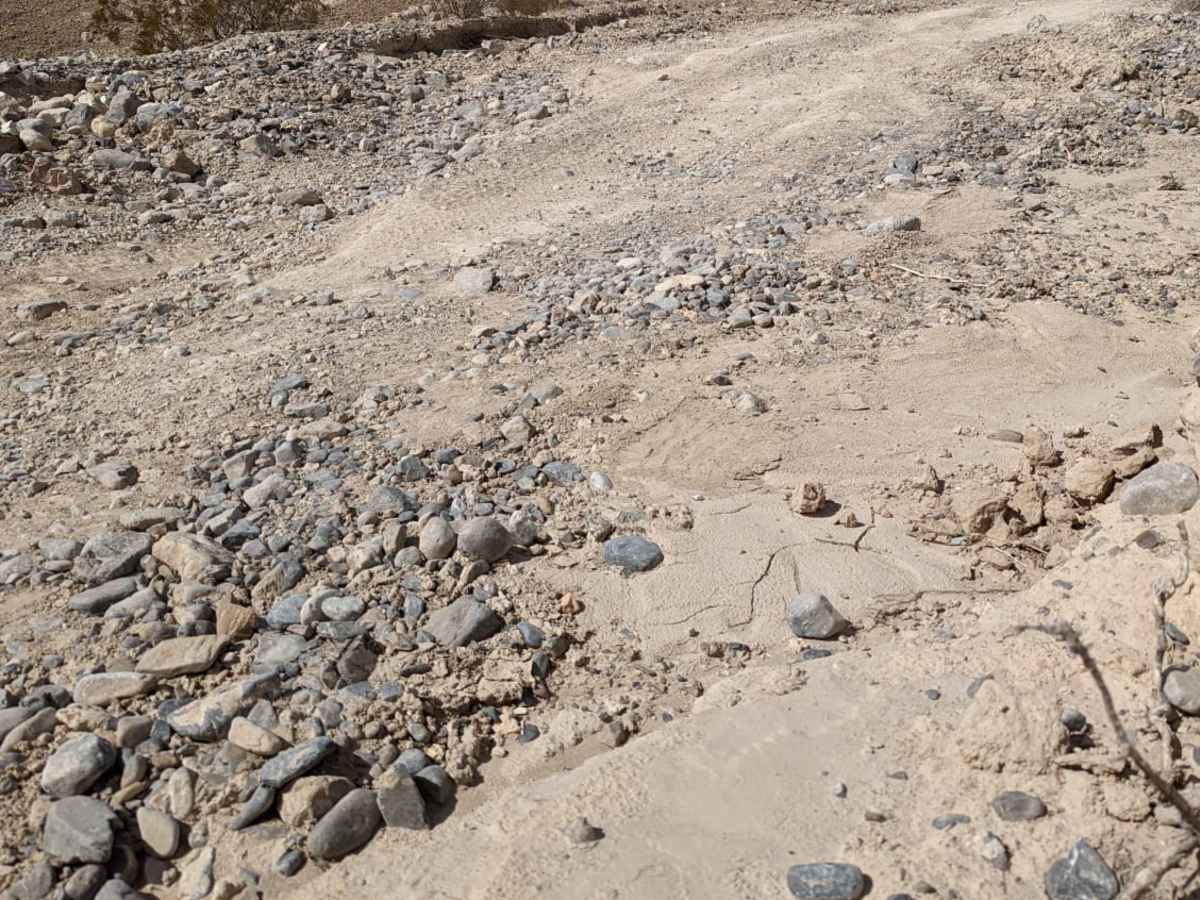 Higley Road/Trail - Powerline Road photo 2