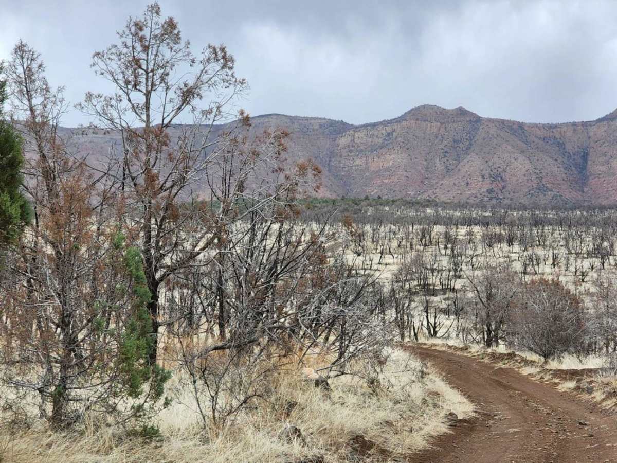 Henderson Flat photo 5