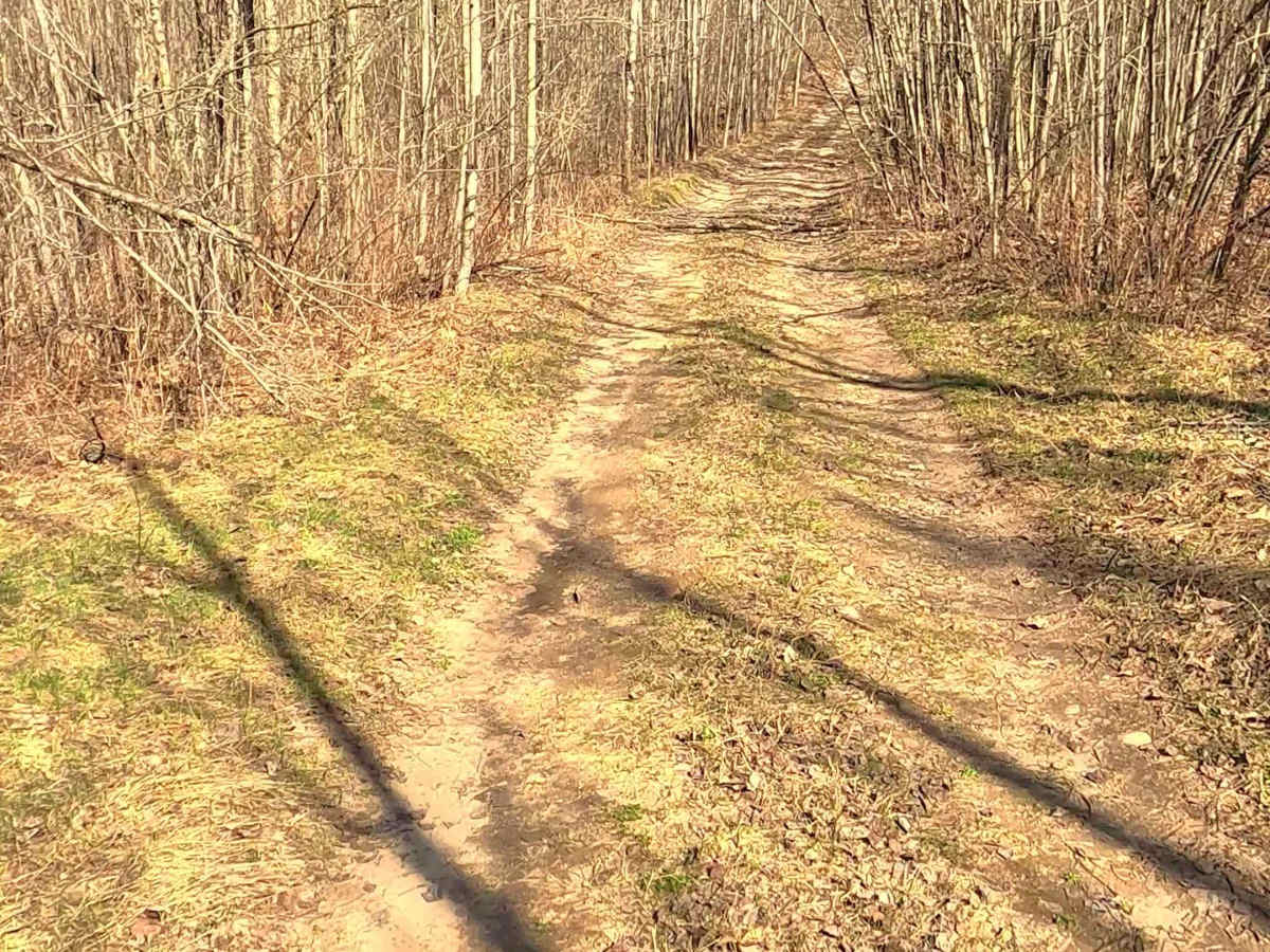 Greve Road - FS 4321 photo 6