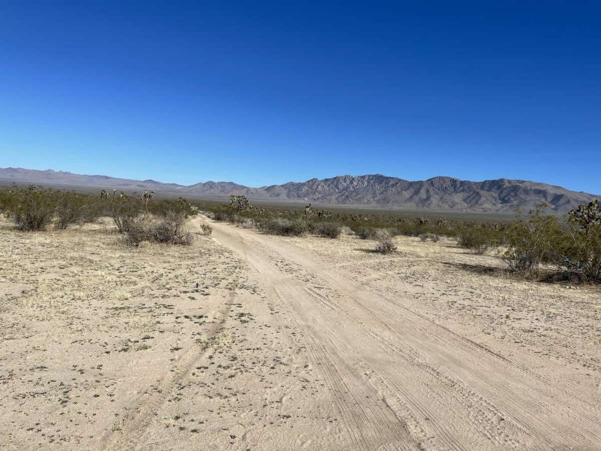 Ivanpah Cima Road photo 6
