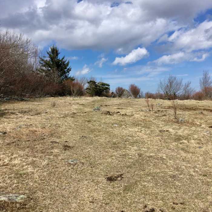 Near Grayson Highlands Backpacking Loop