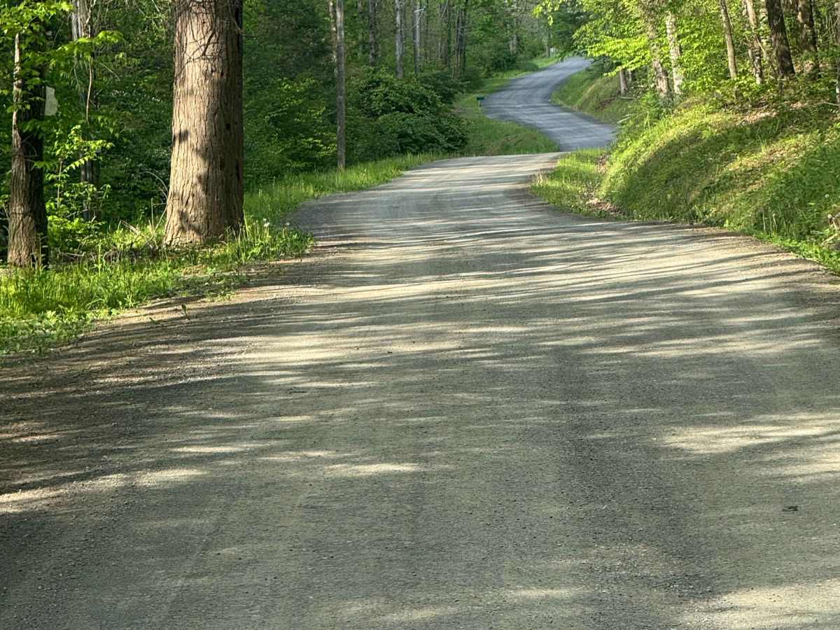 Woomers Divide Road photo 5