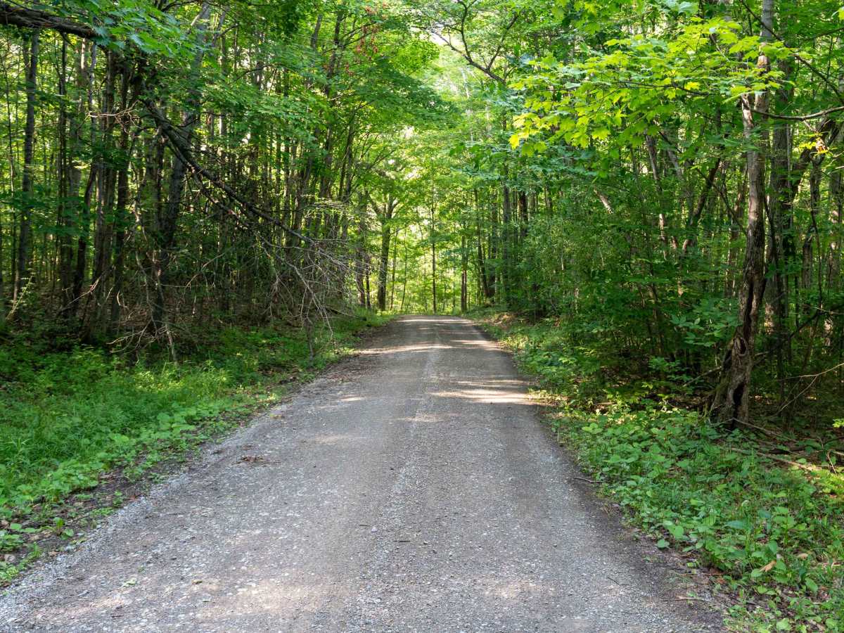 Ebert Road photo 5
