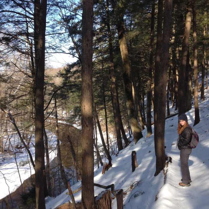Up above the skippack Near Skippack Creek Full Loop