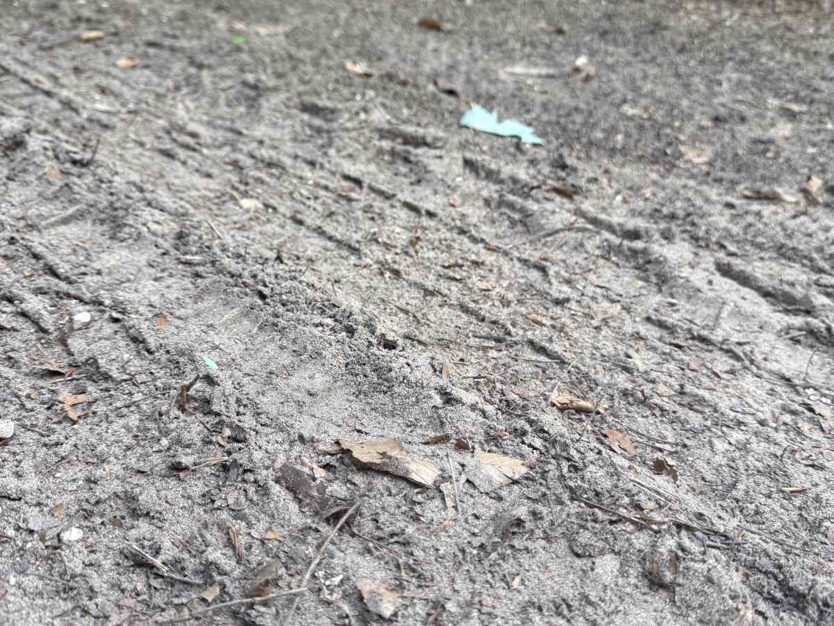 N 3 Trail photo 2