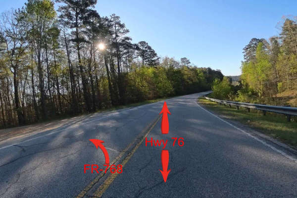 Forest Route 768