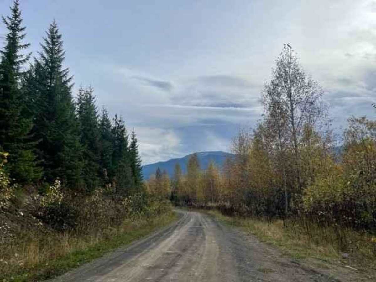 Cassy Road photo 4