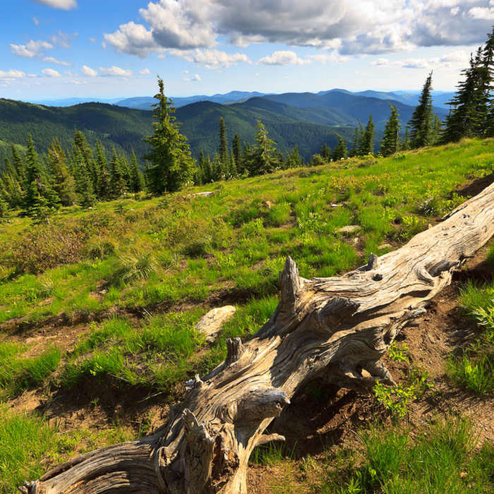 Near Grandmother and Grandfather Mountains