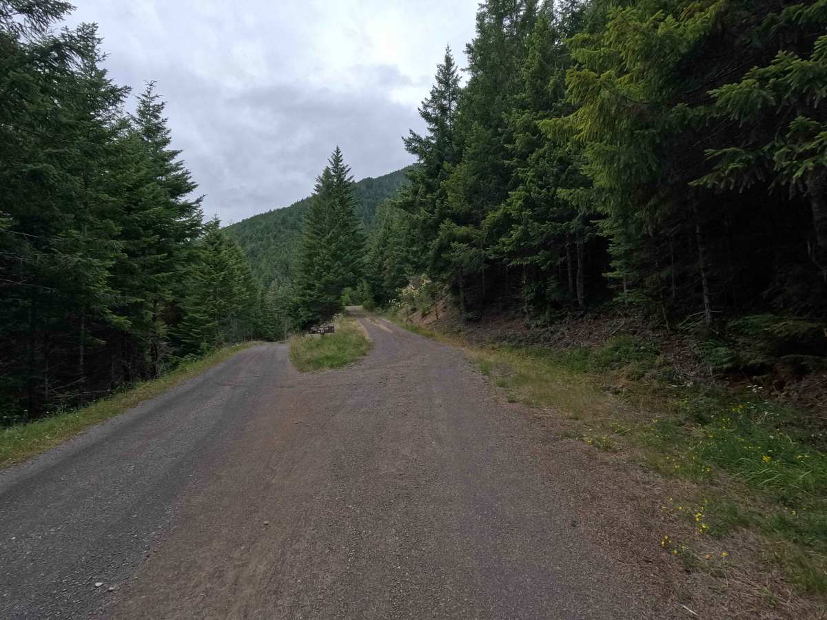 FS 2740060 trail photo