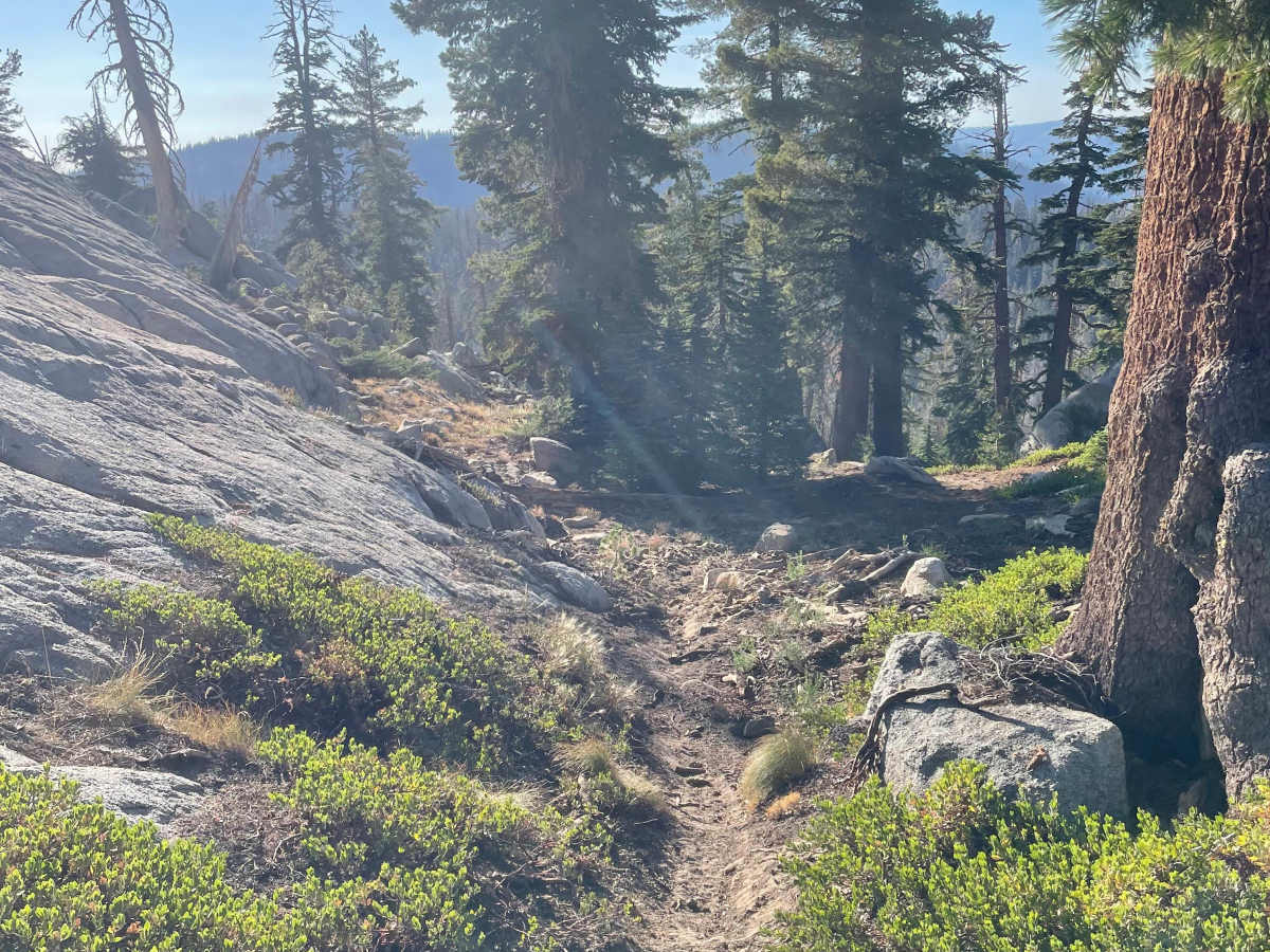 Buck Pasture Trail (West) photo 4