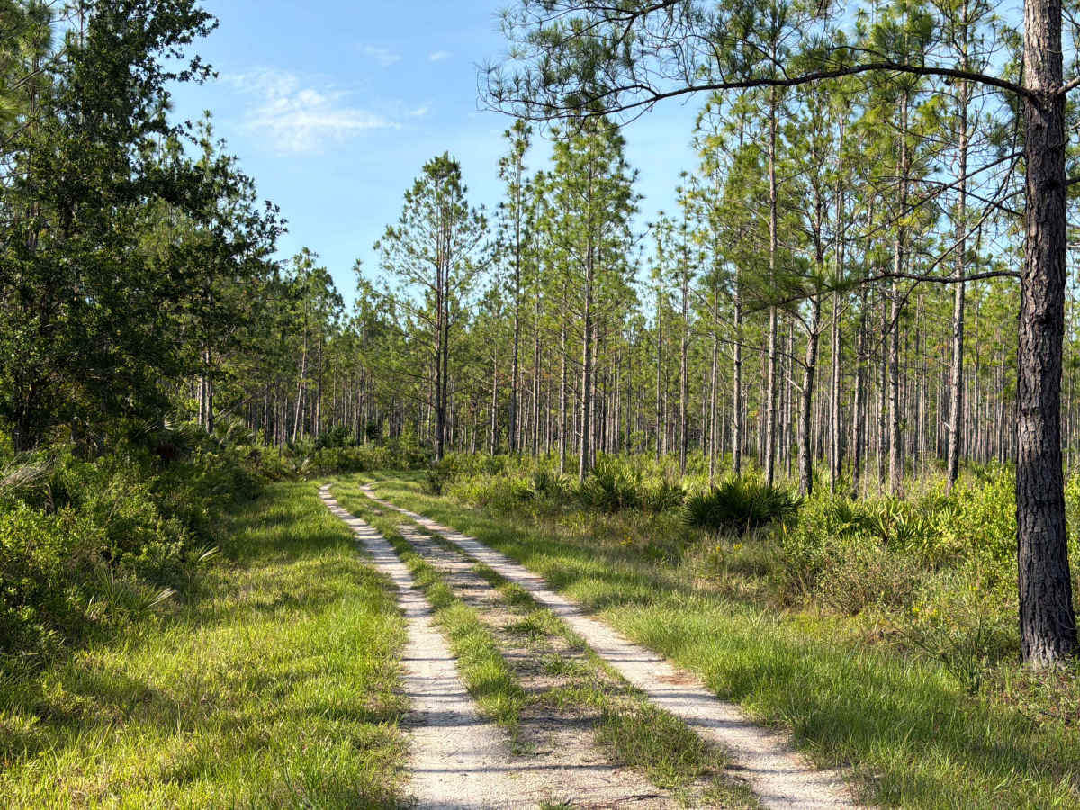 Dexter Point Road photo 2