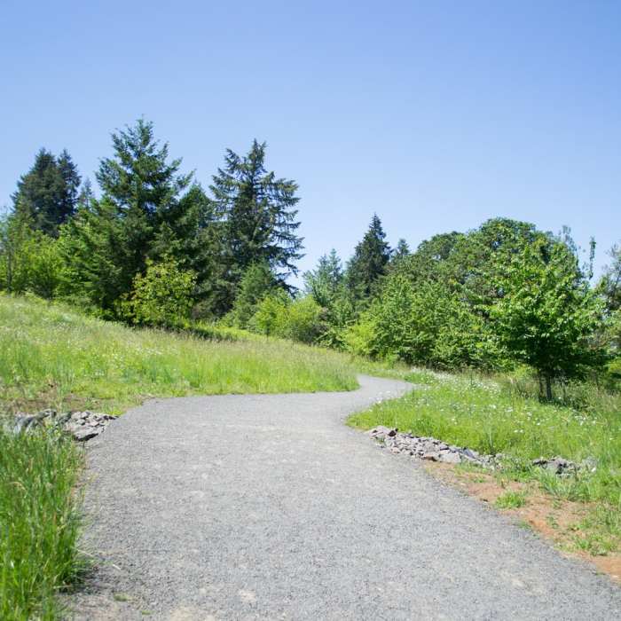 Near North Access Trail