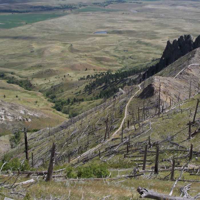 View of the trail from near the summit. Credit: Jim Kallinen Near Summit Trail