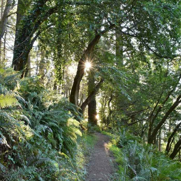 Near Matt Davis Trail